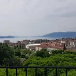 Stella Maggiore