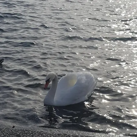 B&B Stella Maggiore 3*