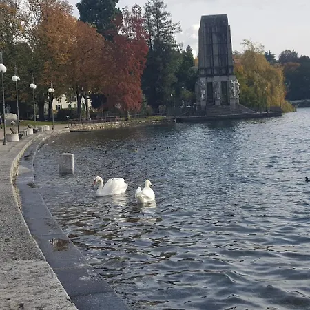 Stella Maggiore 베르바니아